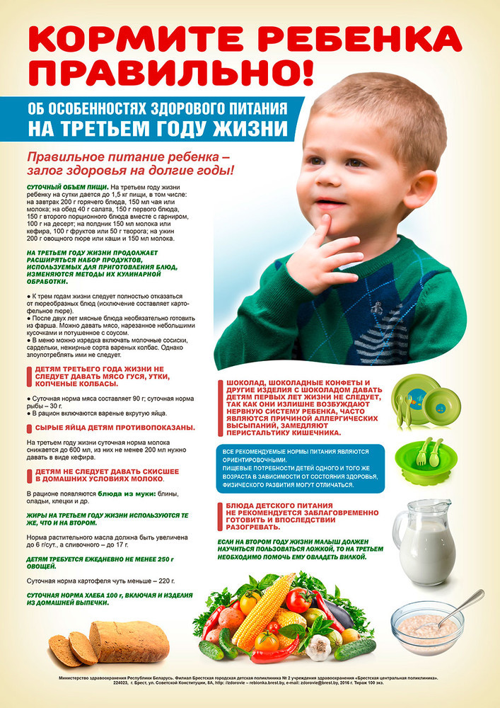 Правильное Питание Информация Для Детей