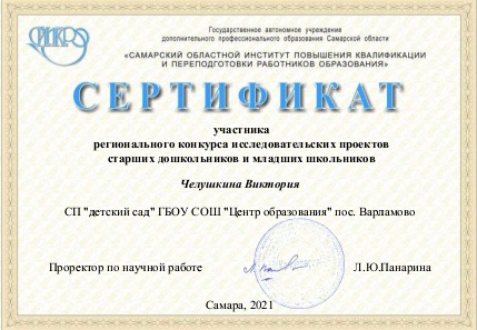 Сертификат Челушкина В.